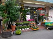 徳島県徳島市の花屋　ふらわあ