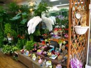 徳島県徳島市の花屋　ふらわあ